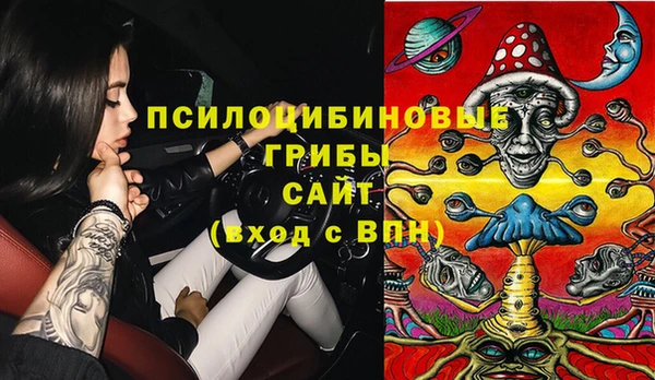стафф Зеленокумск